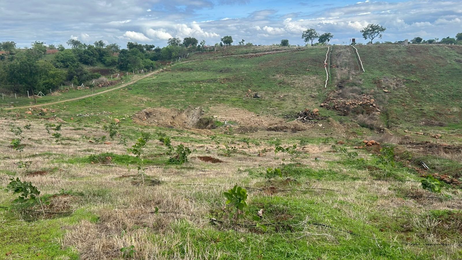 WhatsApp Image 2025-06-19 at 11.30.22