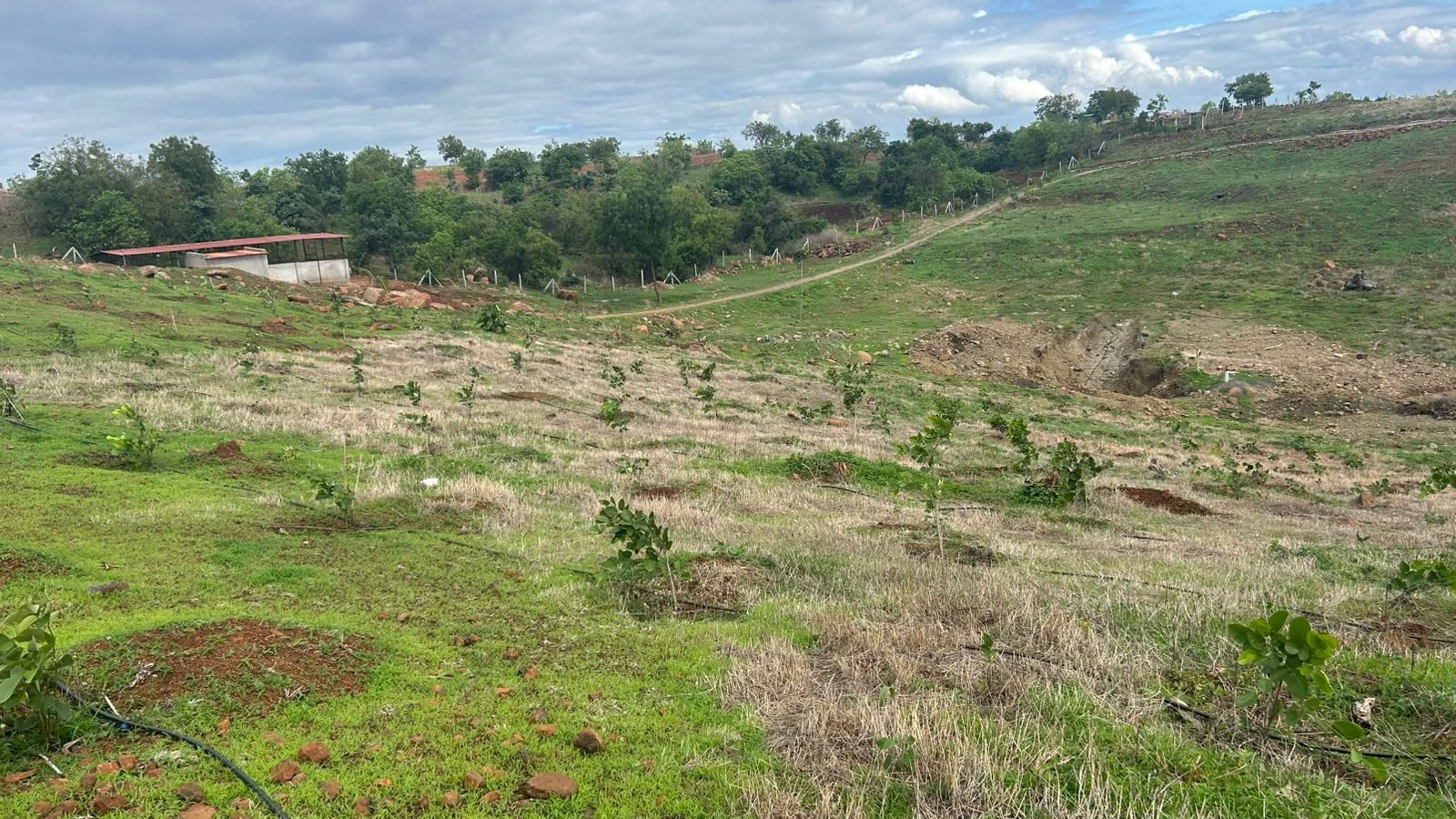 WhatsApp Image 2025-06-19 at 11.33.44