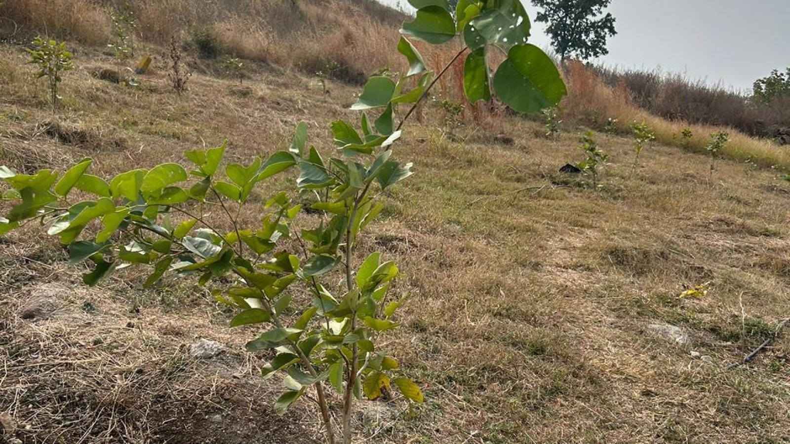 WhatsApp Image 2025-10-01 at 13.02.38 (1)