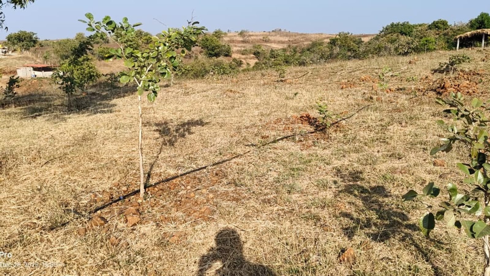 WhatsApp Image 2025-12-28 at 15.45.15