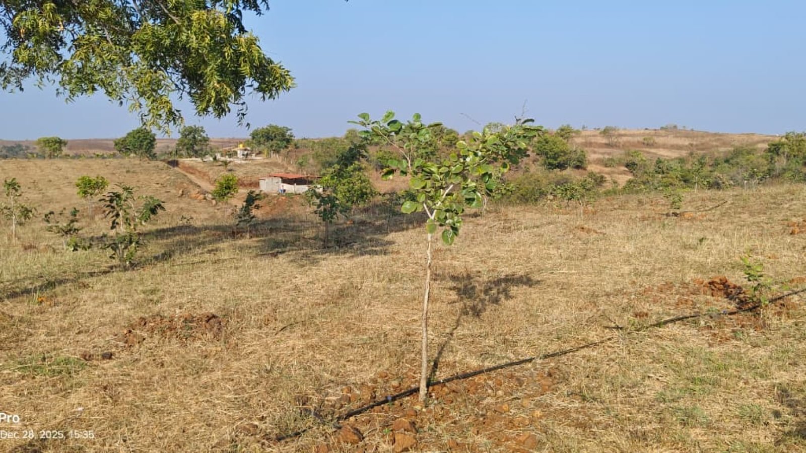 WhatsApp Image 2025-12-28 at 15.45.16