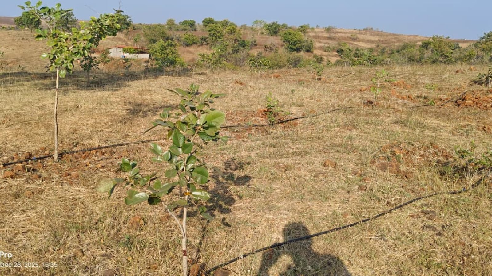 WhatsApp Image 2025-12-28 at 15.45.18