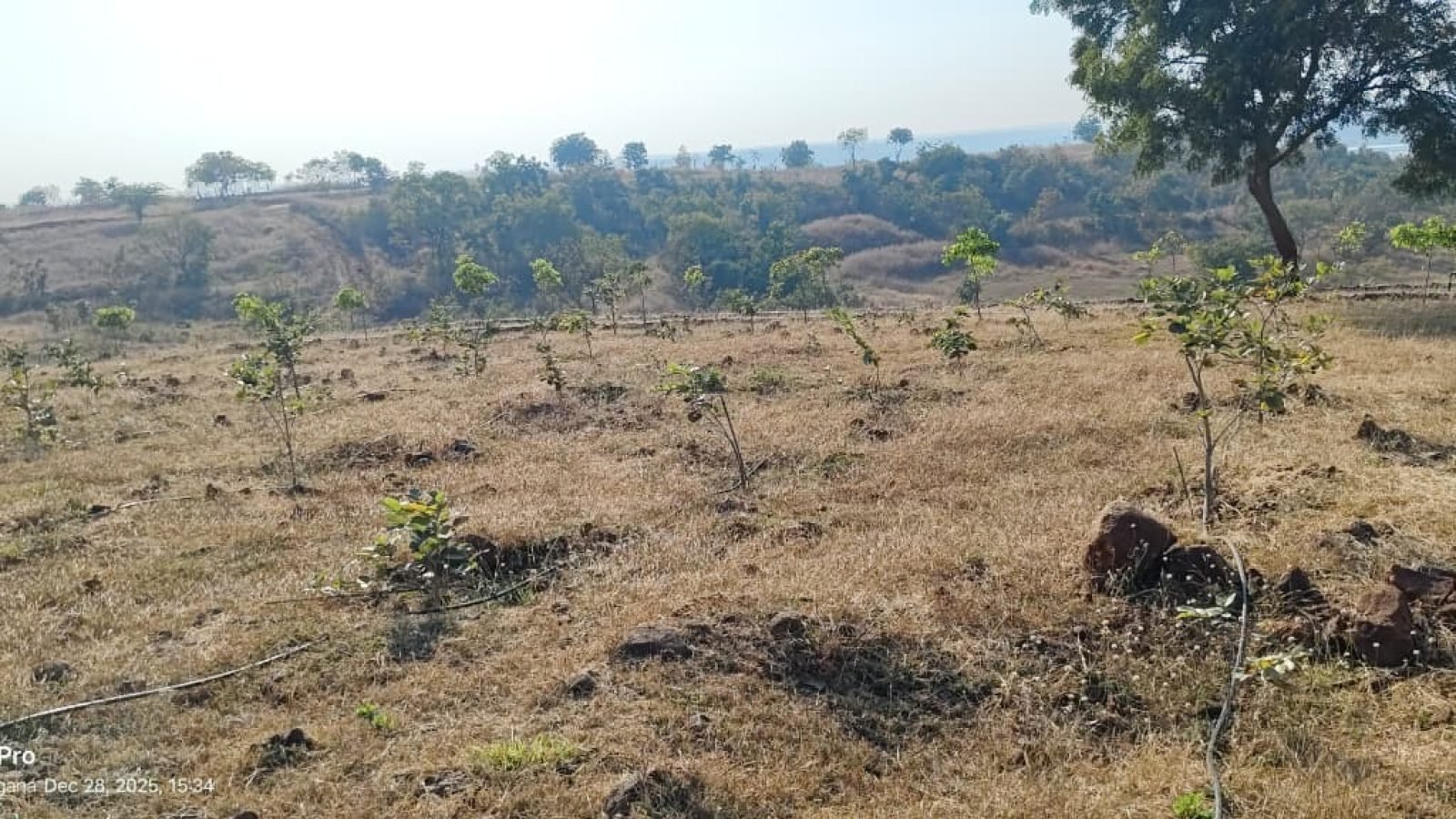 WhatsApp Image 2025-12-28 at 15.45.23