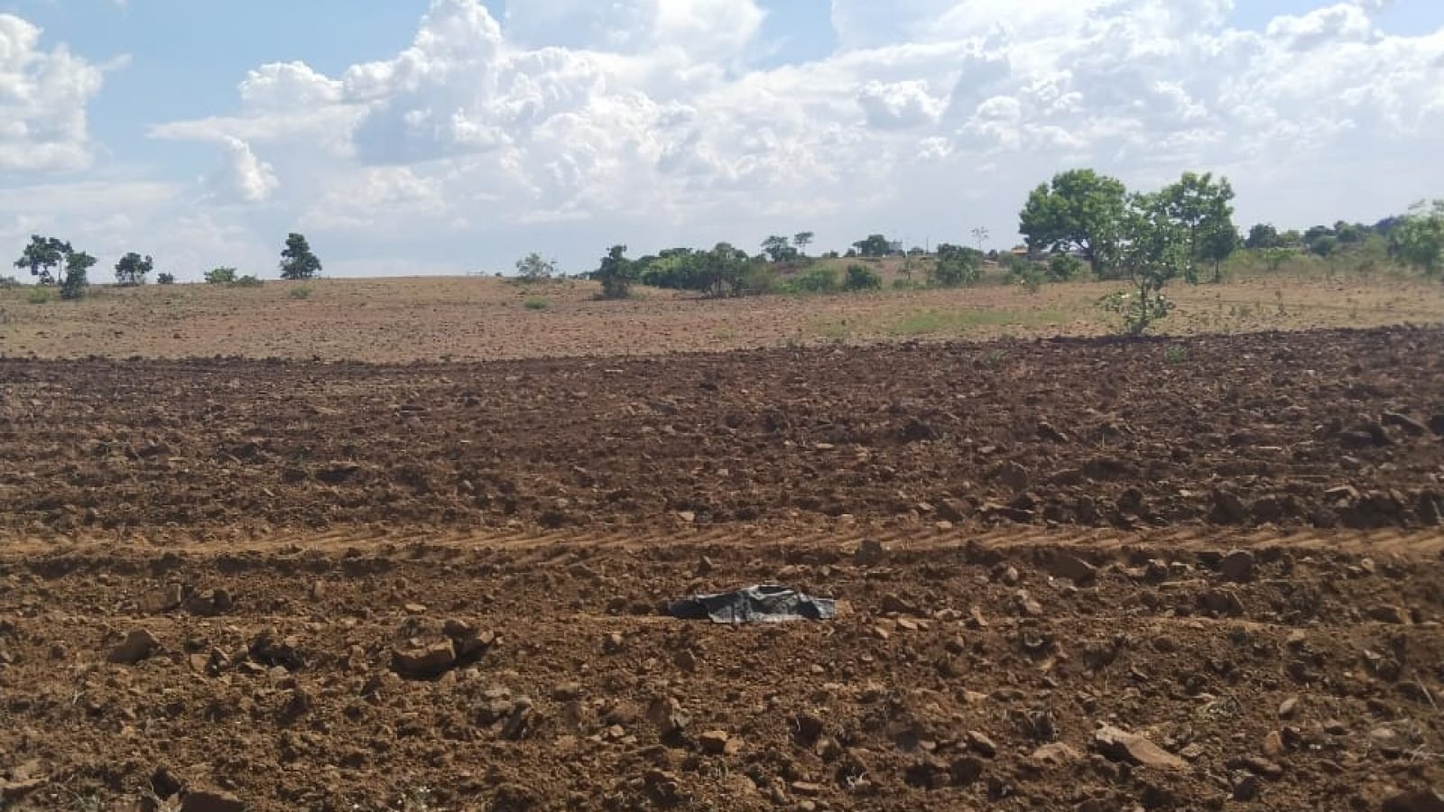 WhatsApp Image 2026-02-01 at 2.26.15 PM (1)