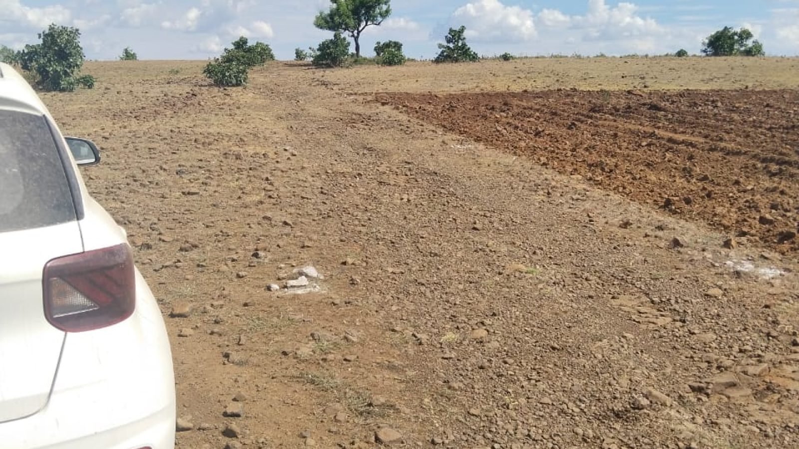 WhatsApp Image 2026-02-01 at 2.26.15 PM (2)