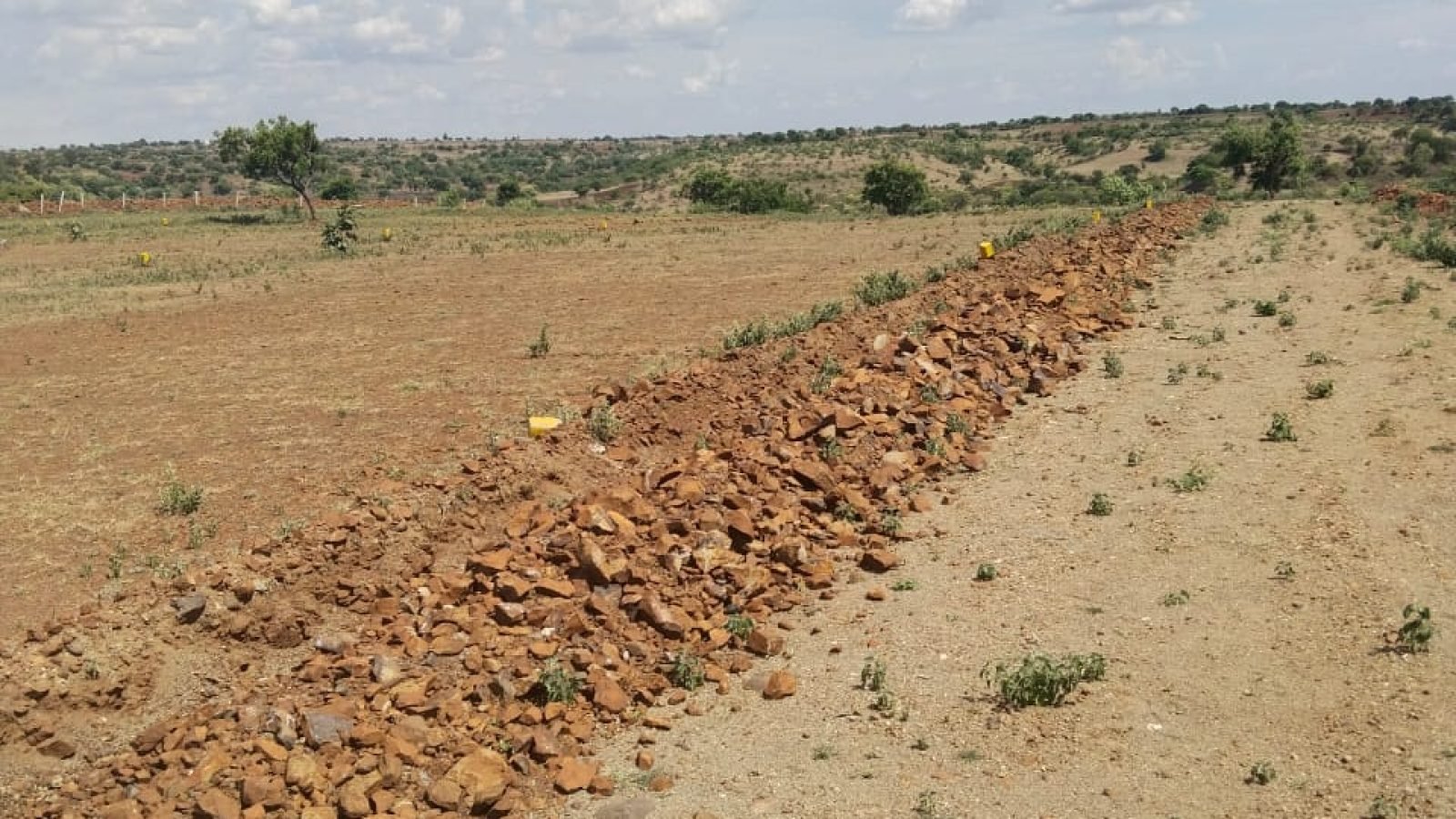 WhatsApp Image 2026-02-01 at 2.26.15 PM