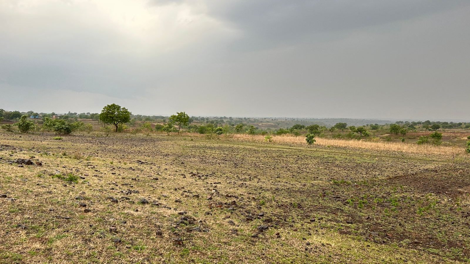 WhatsApp Image 2026-02-01 at 2.26.36 PM (1)