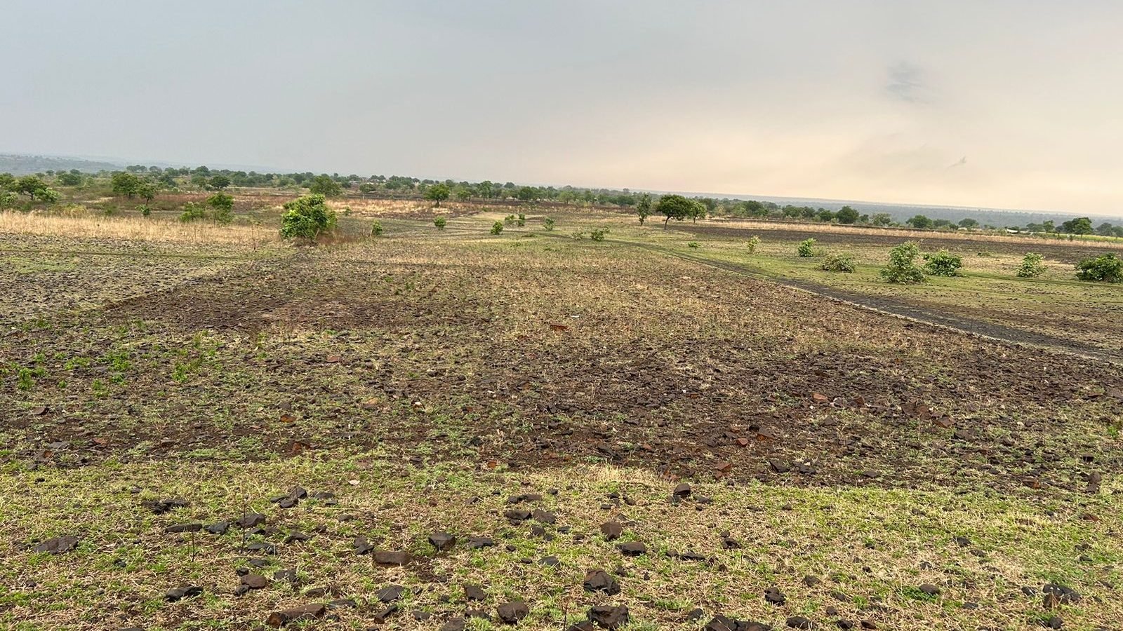 WhatsApp Image 2026-02-01 at 2.26.36 PM