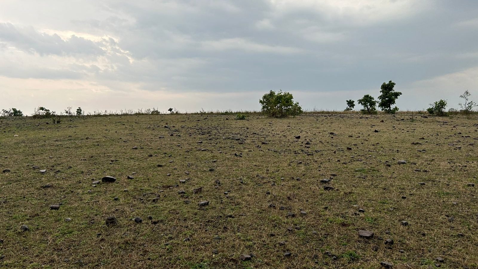 WhatsApp Image 2026-02-01 at 2.26.37 PM